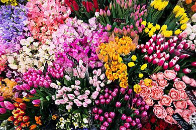 《夺宝奇兵：古老之圈》有犬类敌人 不能伤害只需吓跑