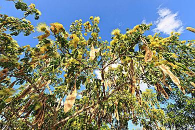 《无主之地4》“厕所幽默”将大大减少 前作太过份了